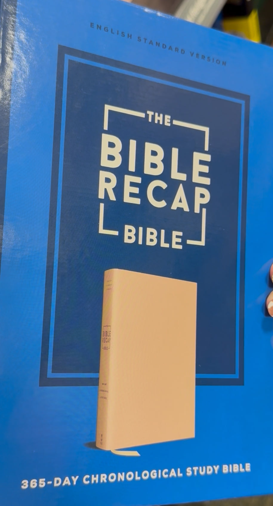 Painter Bible recap in a year