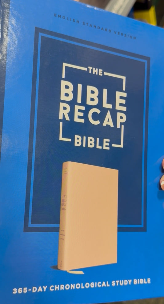 Painter Bible recap in a year