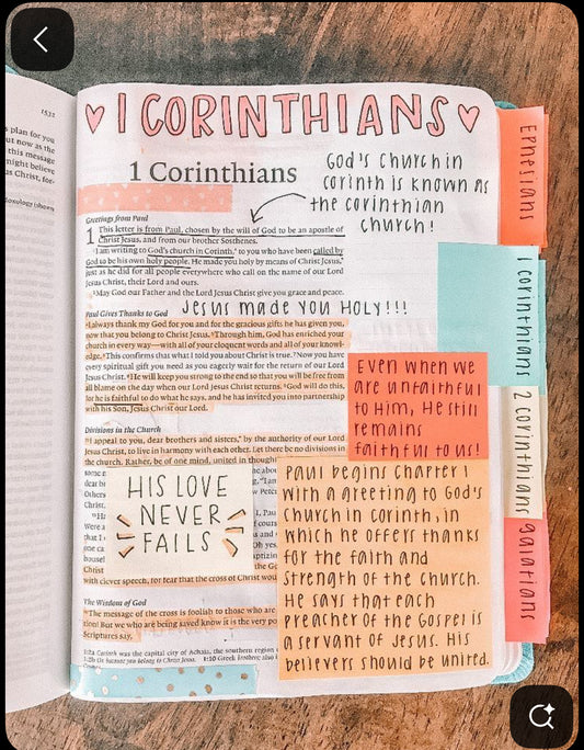 Loaded Bible not painted